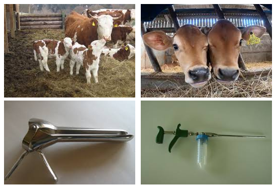 Toliq metrajli porno filmni qaymoqli onlayn tomosha qiling